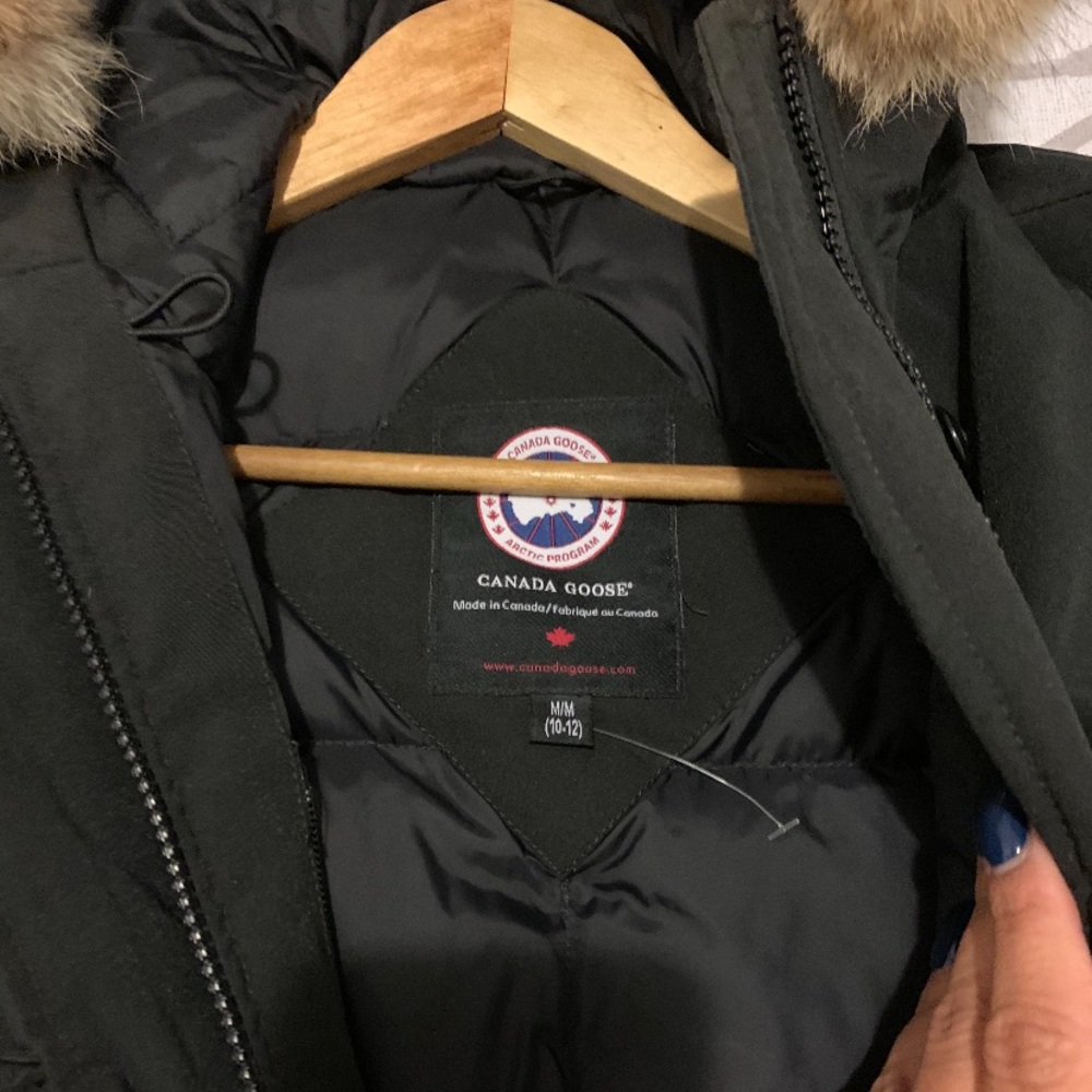 canada goose